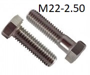 Hex Cap Screw, M22-2.50 (Coarse) <span style=font-family: Arial; color: #D85906>A2</span> Stainless